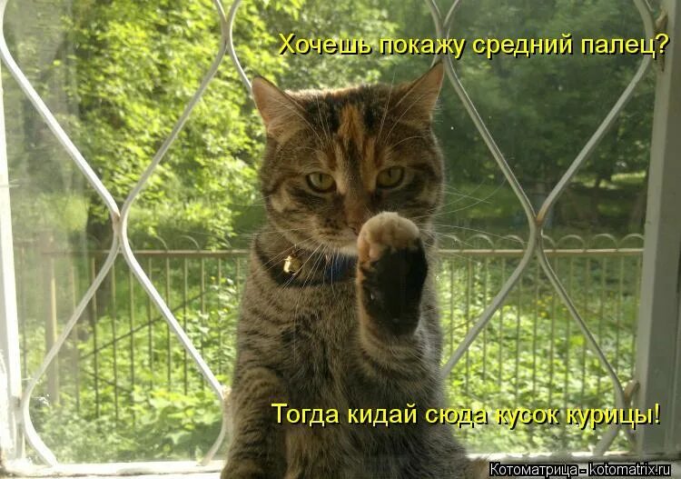 Кидай сюда. Кидай сюда. Окурки не бросать табличка. Сюда картинка. Ящик для ненужной рекламы в подъезде.