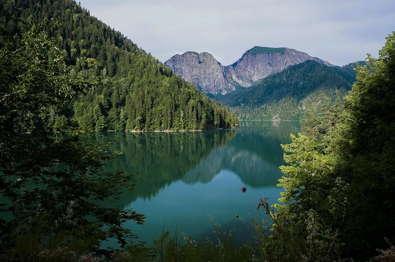 Рица санкт петербург. Рица санкт петербург. Дорога на озеро рица абхазия. Озеро рица абхазия. Рица санкт петербург.