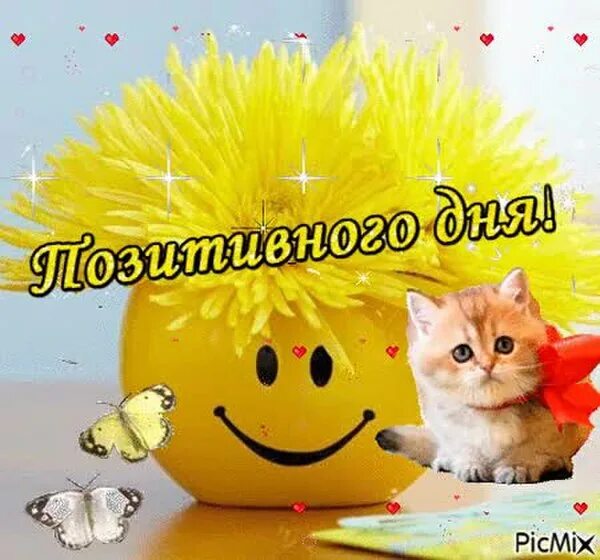 Хорошего дня и положительных эмоций. Позитивные открытки. Позитивные картинки. Позитивчика на весь день. Улыбка.