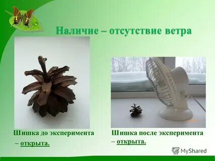 Наличие ветра