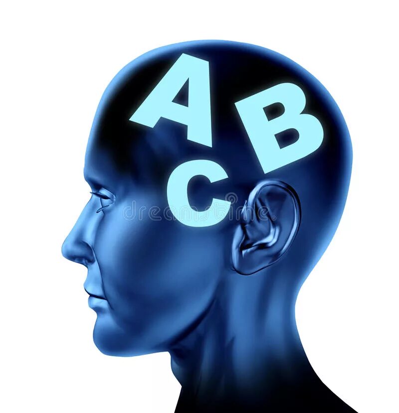 Speech brain