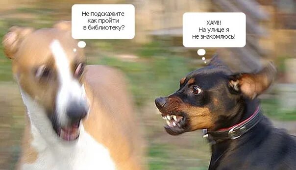 А ты что не подскажешь