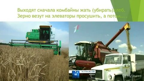 Хлеб убирают комбайнами подчеркните многозначные слова