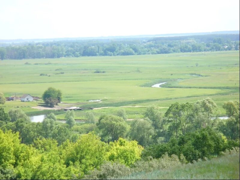 Доброе курская область. Лещиновка Глушковский район Курская область. Деревня Лещиновка. Глушковский район деревня Лещиновка. Д Лещиновка Курская область Глушковский район.