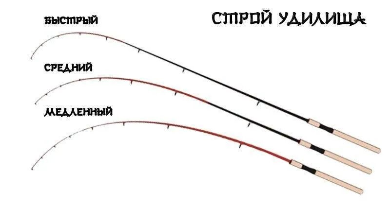 Тест спиннинга на щуку. Строй удилища спиннинг таблица. Строй спиннинговых удилищ таблица. Строй фидерного удилища обозначение. Фидер и спиннинг отличие.