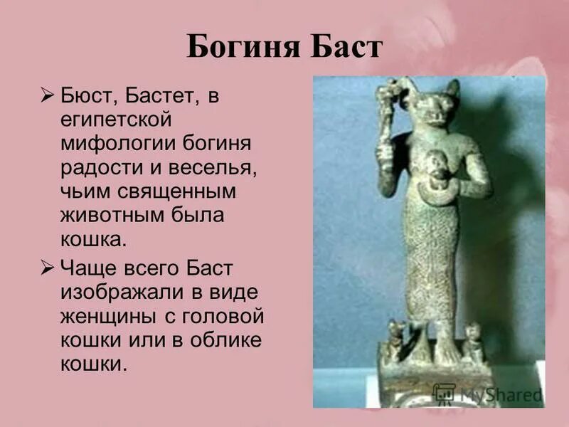 Бастет оренбург. Бастет богиня. кошка бастет египет.