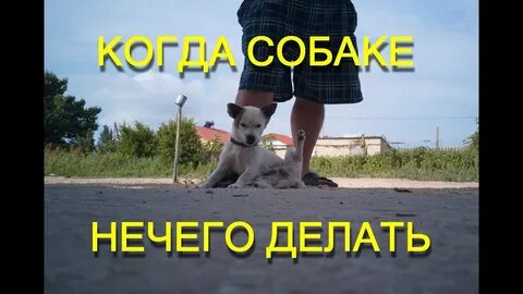 Совершенно ничего не делаю