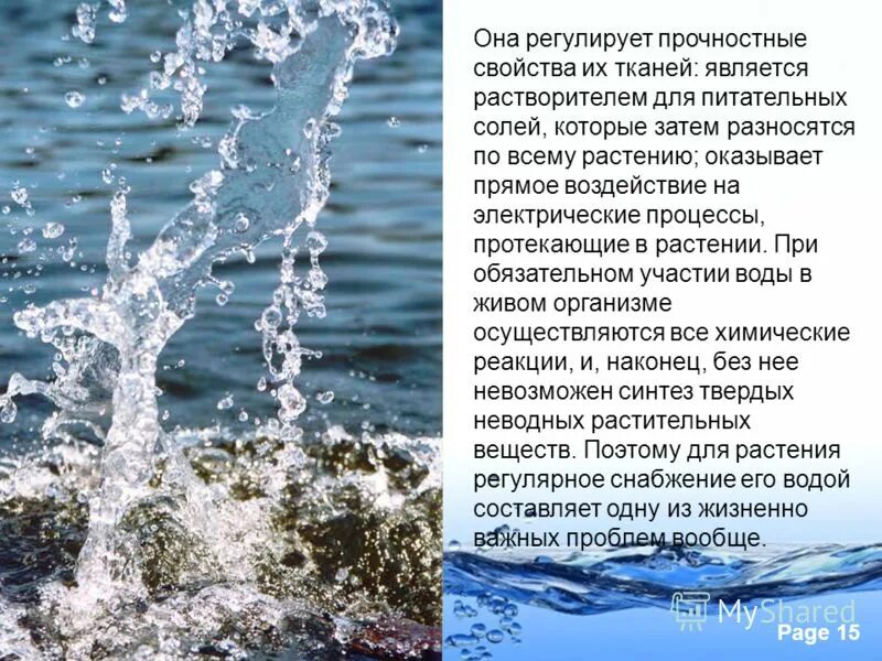 Роль воды в продуктах