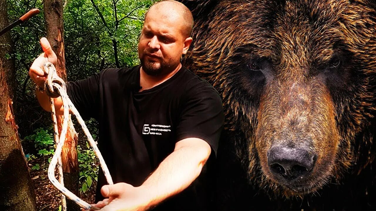 Охотничие собаки на медведя. Медведь в деревне. Охотничие собаки на медведя. Загнать медведя в берлогу коктейль. Медведь загнал мужика на дерево.