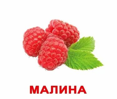 Карточки ягоды для детей