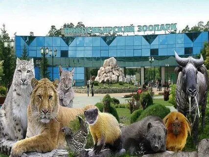Российский зоопарк