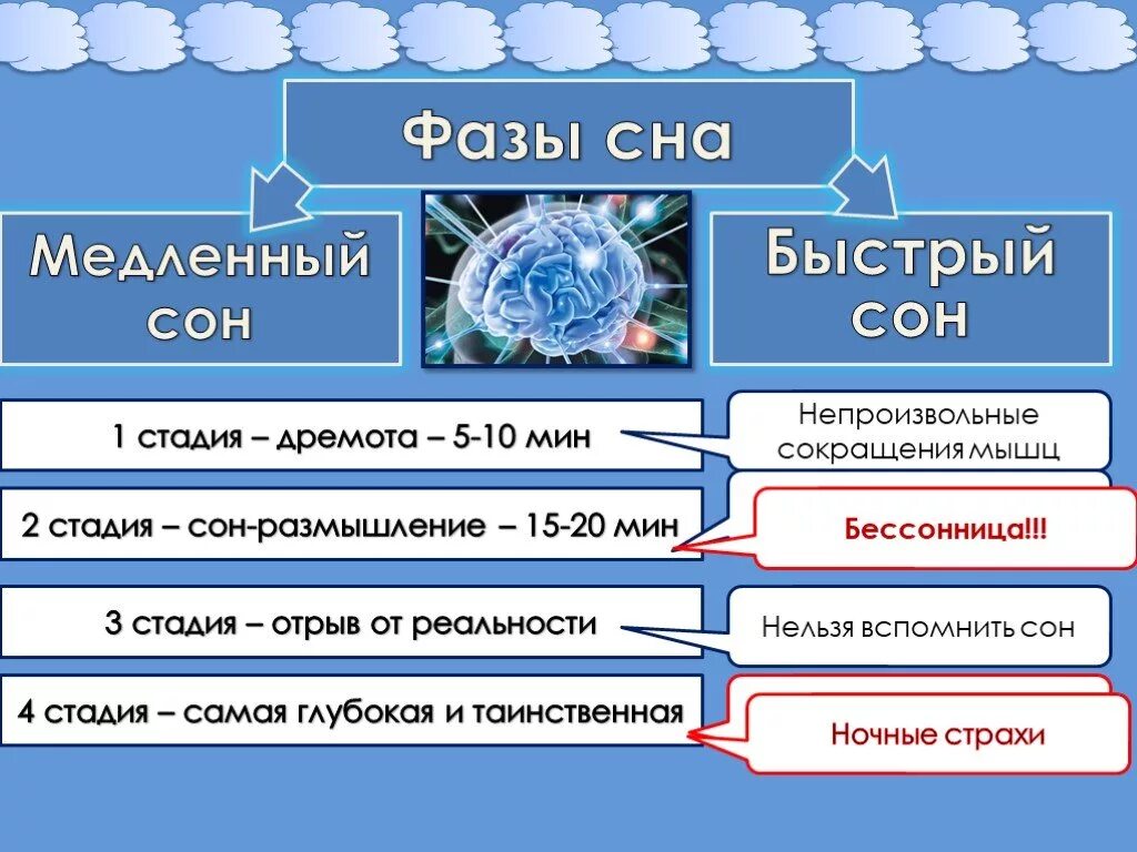 Фазы быстрого и медленного сна. Стадии фазы медленного сна. Быстрый и медленный сон. Быстрый сон и медленный сон. Чем характеризуется медленный и быстрый сон