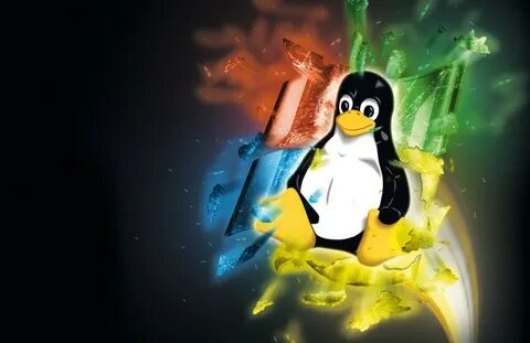 Ms linux