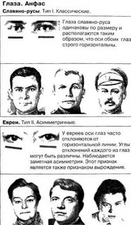 Черты лица его были мелкими не