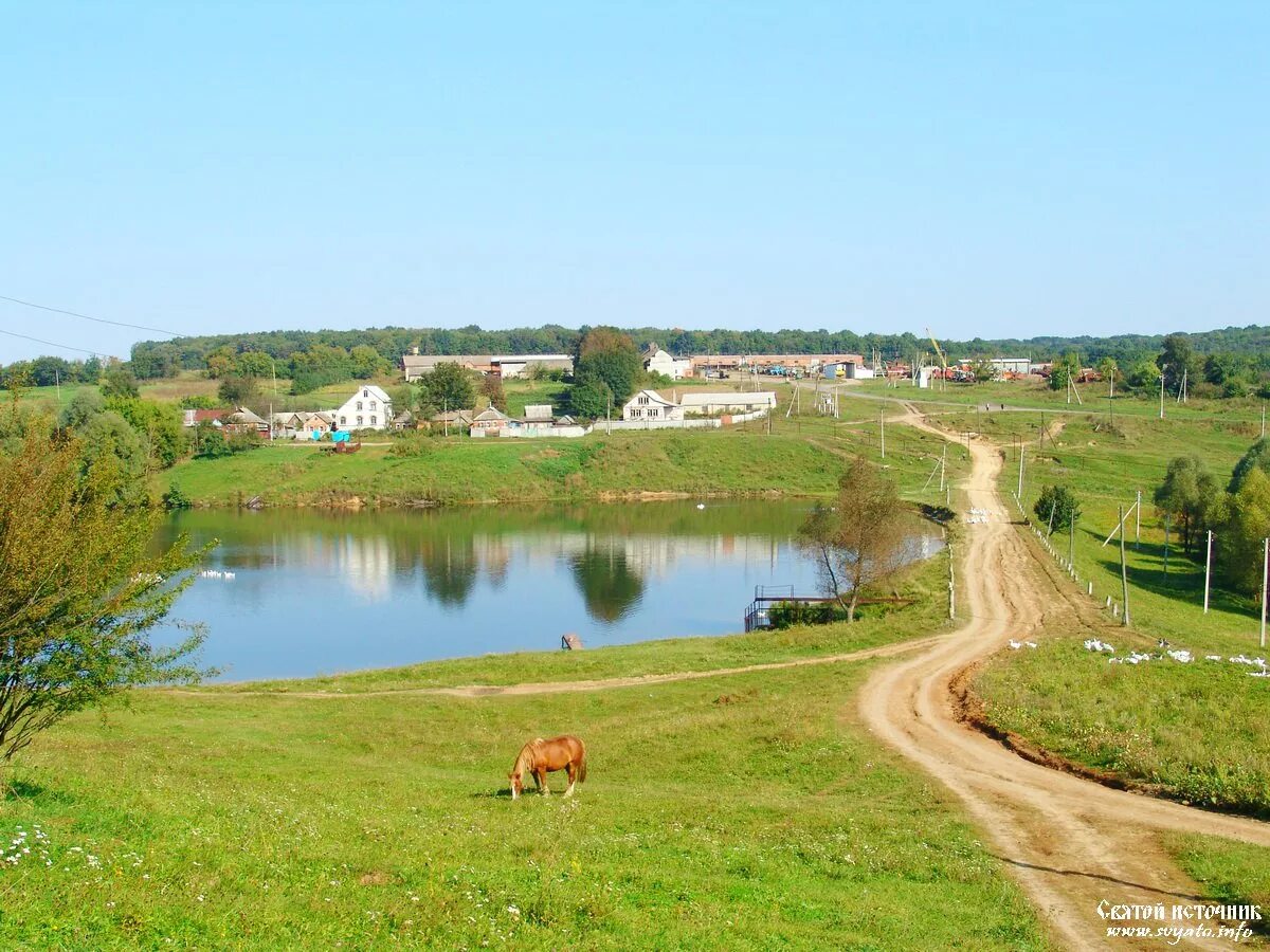 Акулиновка Белгородская. Акулиновка Борисовского района. Природа села Борисовка Белгородской. Село Стригуны Борисовка.