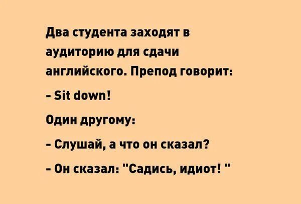Анекдоты про студентов. Шуточные правила для студентов. Анекдоты про студентов в картинках. Смешные истории про студентов. Афоризмы про студентов.