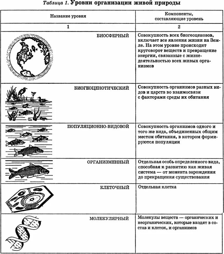 Заполните таблицу уровни организации. Уровни организации живой материи схема. уровни организации живой природы егэ биология. уровни организации биологических систем таблица. таблица по биологии уровни организации живых систем.