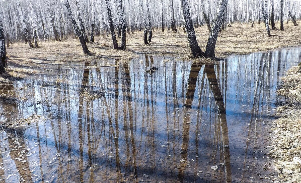 Осадки в марте. Зимняя слякоть. Дождливый март. Таяние снега в городе. Дождливая весна.