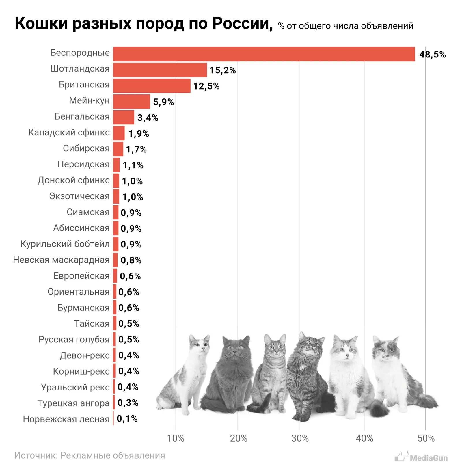 Статистика котов. Статистика пород кошек в России. Самые популярные домашние животные в России. Самые популярные породы кошек список. Популярность кошек.