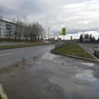 Лежал возле дороги