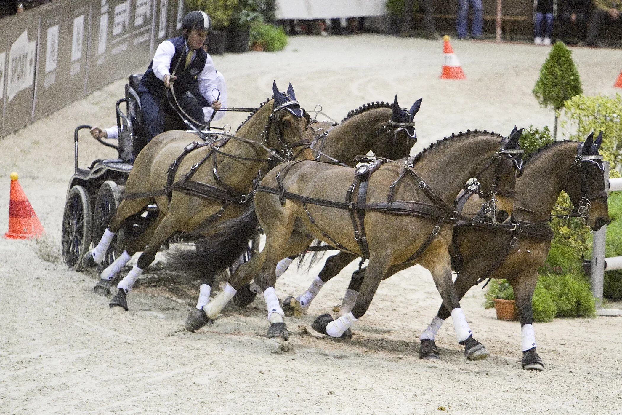 Driving horse. Драйвинг конный спорт. Лошадь в упряжке. Упряжка цугом. Шесть лошадей в упряжке.