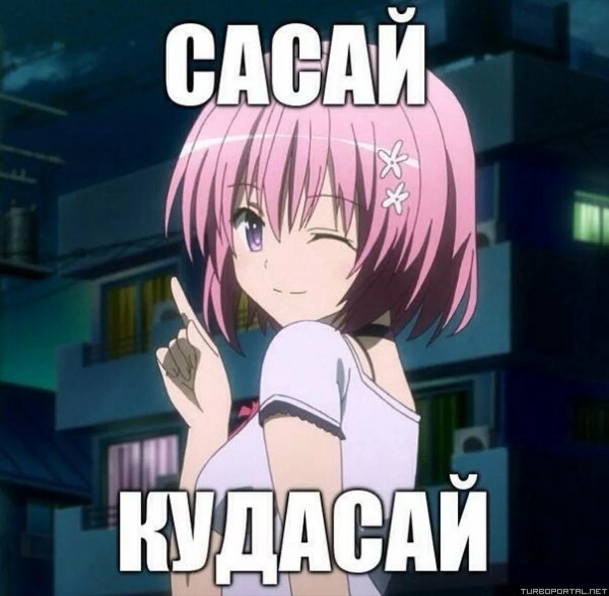 Пикча песня
