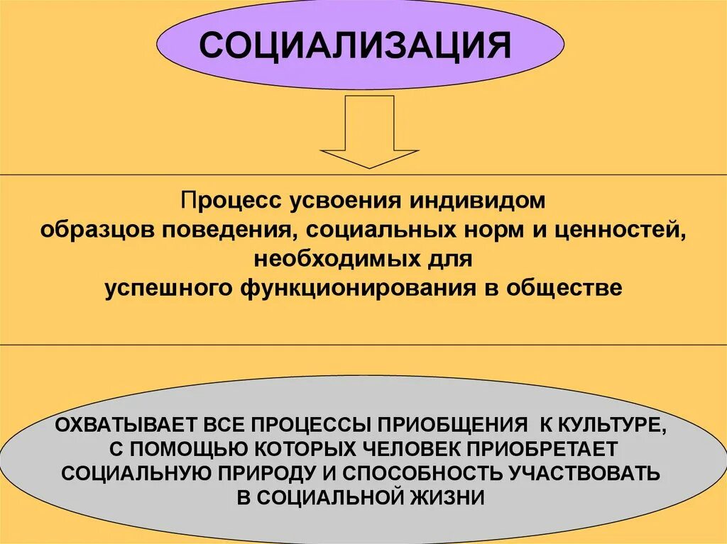 Статусы индивида. Социализация в обществе. Социализация личности, социальная роль, социальный статус.. Социализация личности в обществе. Социализация статус и роль.