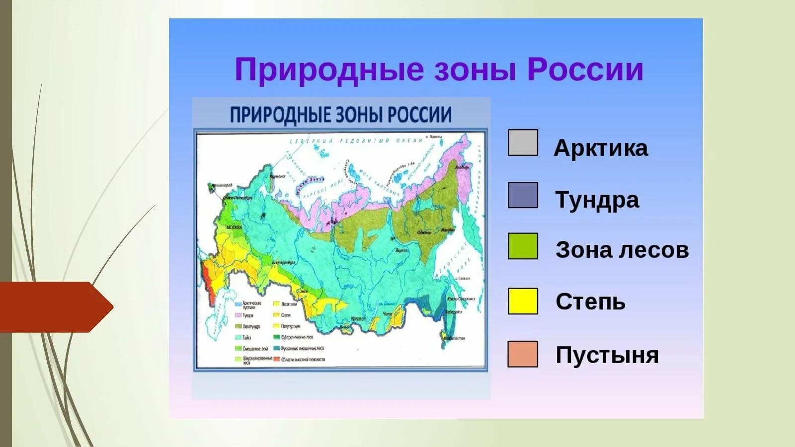 Название природных зон. Название зон России. Интерактивный плакат. Интерактивный плакат в THINGLINK.