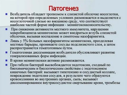 Протокол инфекции