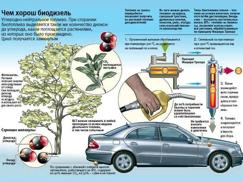 Биодизель биоэтанол. Жидкое биотопливо биодизель. Из чего получают биодизель. Из чего производят биодизель. Использование биотоплива