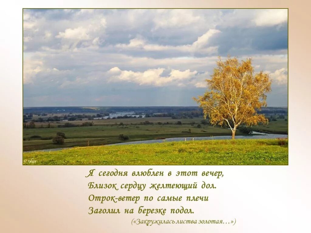 Стихотворение отрок. Я сегодня влюблен в этот вечер близок сердцу желтеющий дол. Отрок ветер по самые плечи заголил на берёзке подол с Есенин. Отрок ветер по самые плечи. Отрок – ветер по самые плечи заголил на подол..