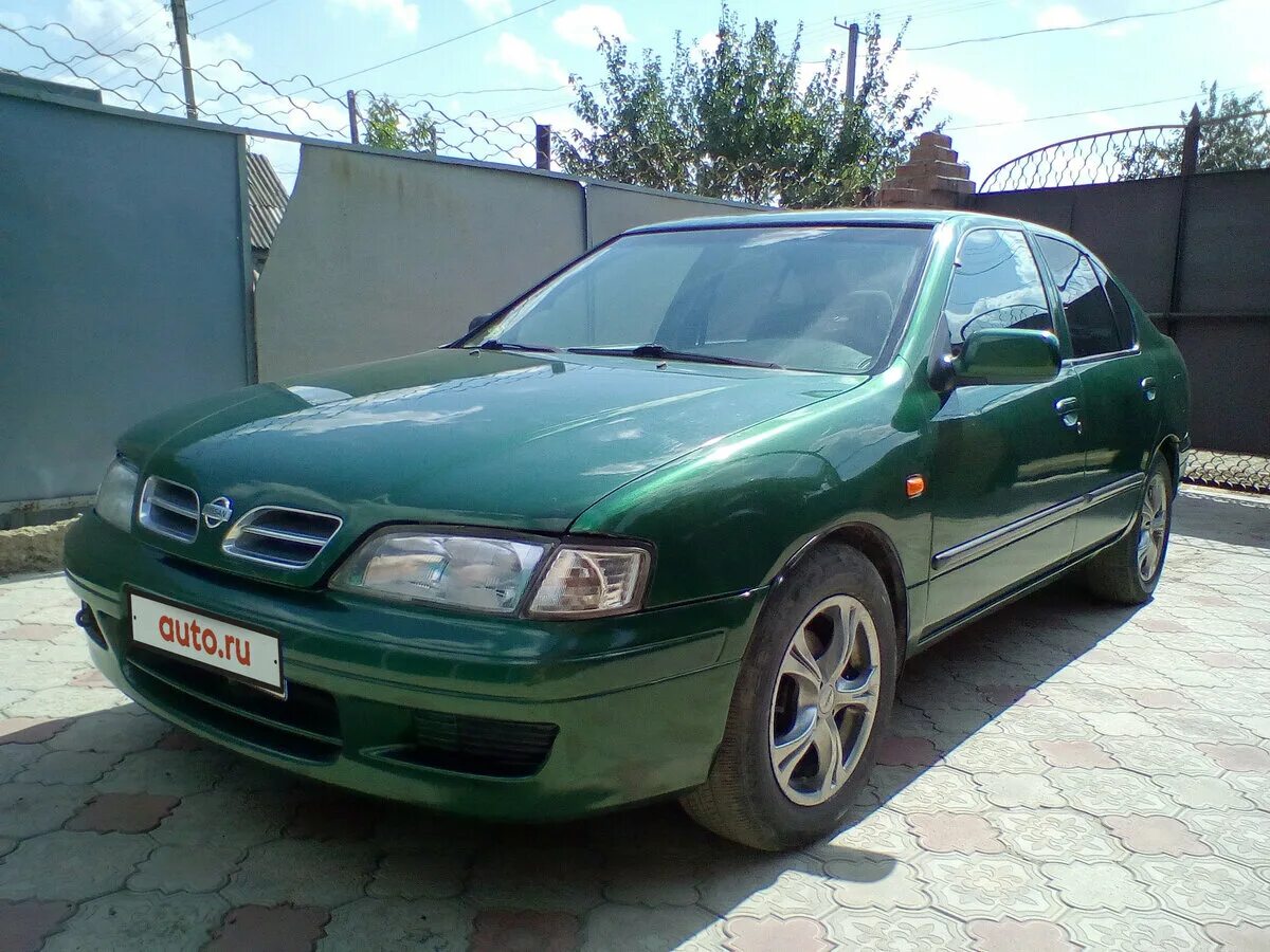 Ниссан 98 год купить. Nissan p11 1997. Nissan primera p11 зеленая. Nissan primera 1997 года. Nissan primera p11 1997 зелёный.