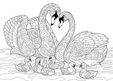 Animal Families Coloring Pages: Free & Fun Printable Coloring
