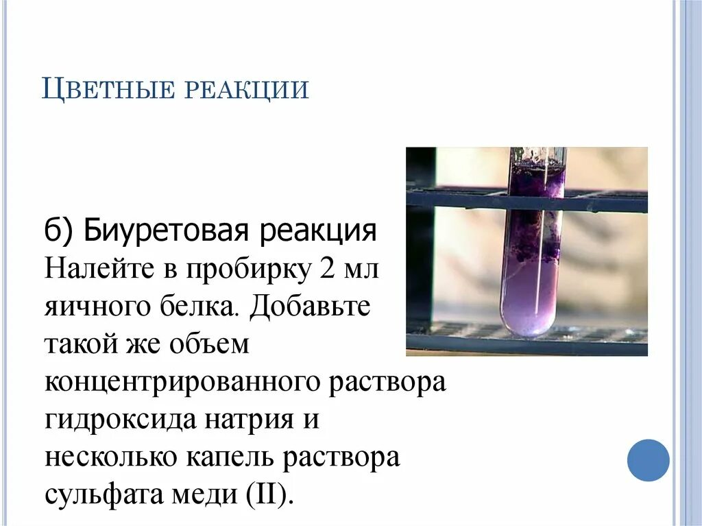 Цветные реакции белков биуретовая реакция. Цветные реакции на белки биуретовая реакция. Цветные реакции биуретовая реакция. Биуретовая реакция в пробирке.