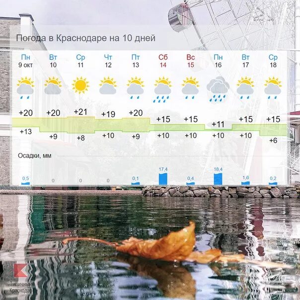 Краснодар погода на 10 дней 2024 март. Климат Краснодара. Погода в Краснодаре. Погода в Краснодаре на 10 дней. Краснодар погода Краснодар.