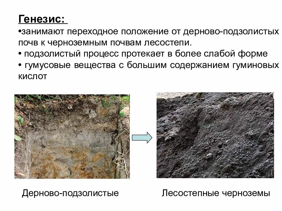 Дерново подзолистые и болотные почвы. Дерново подзолистые почвы и серые Лесные почвы. Дерново-подзолистые почвы схема. Аллювиальная почва Генезис. Факторы генезиса