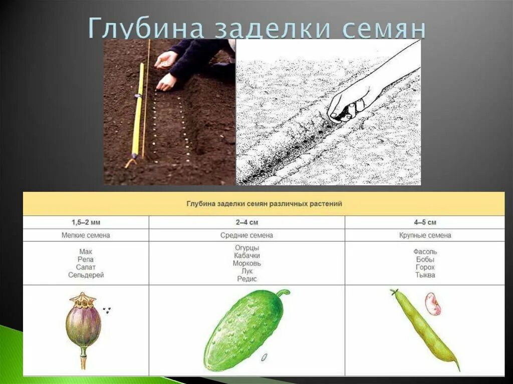 На какую глубину человек