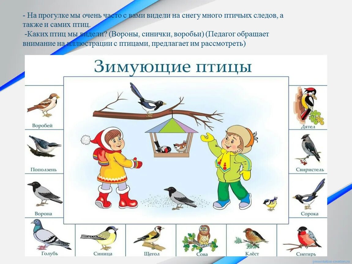 Прогулка тема птицы. Занятие зимующие птицы. зимующие птицы средняя группа. зимующие птицы старшая группа. развивающие задания зимующие птицы для дошкольников.