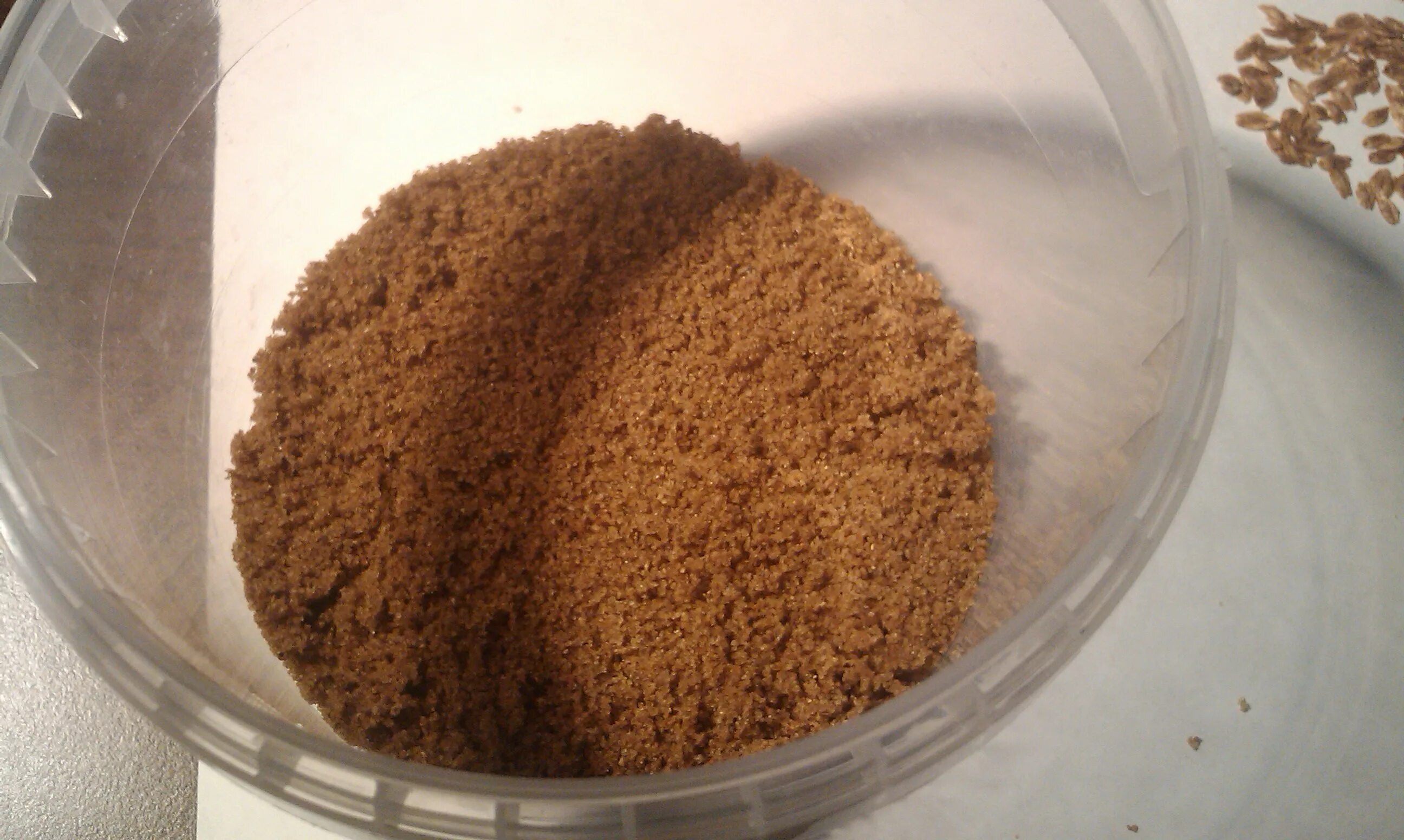 Холодная стратификация семян. Стратификация кизильника блестящего семена. Стратификация семян земляники в снегу. Стратификация семян снегование. Стратификация семян.