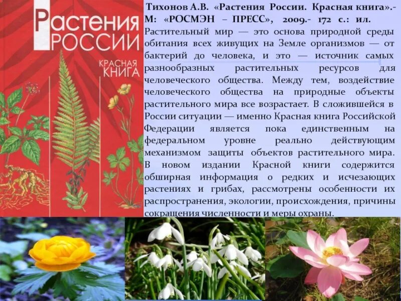 Включи красную книгу растений. Растения красной книги России. Цветы красной книги России. Растения красной книги Росси.