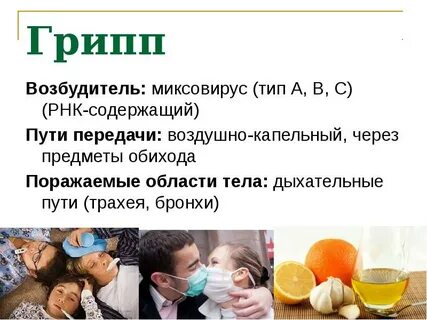 Грипп пути заражения