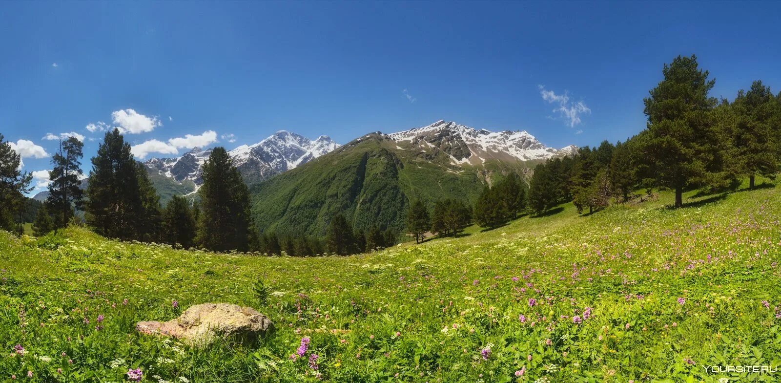 Лес в чечне. Горы с далека. Альпийские луга карачаево-черкесии. Леса чеченской республики. Домбай альпийские луга.