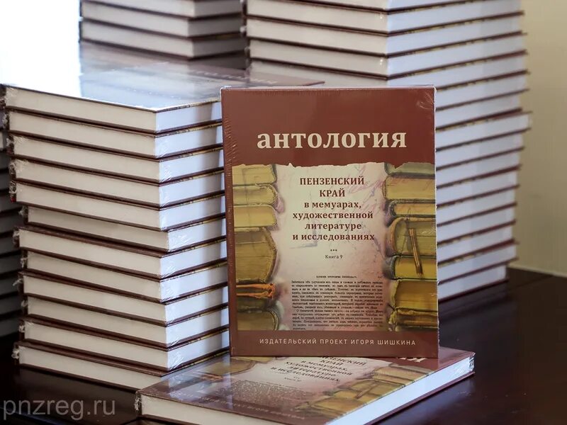 Дом в художественной литературе. Пензенский книги. Пензенский край в русской литературе. Книги про Пензу.