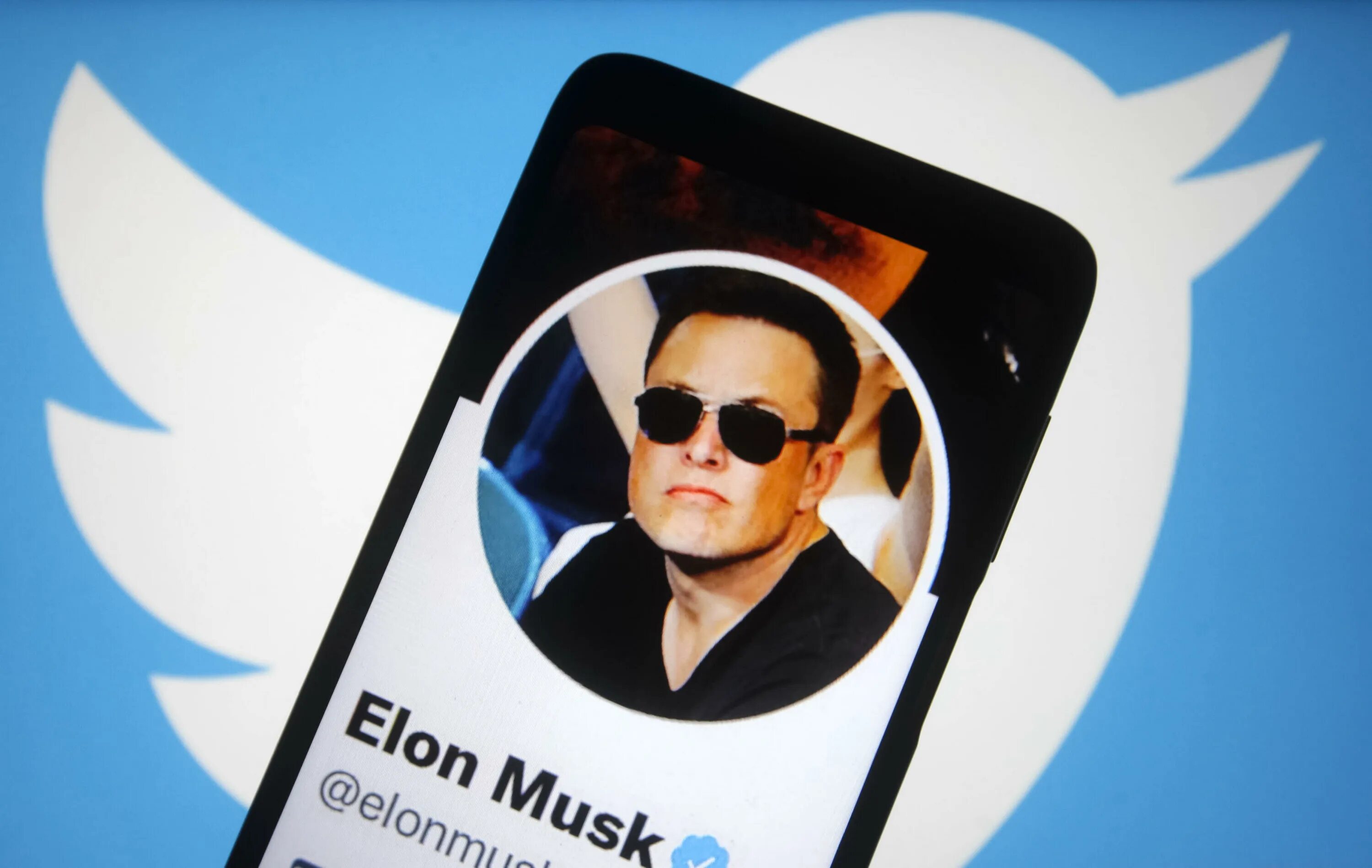 Twitter Маск. Elon Musk twitter. Твиттер Элона маска.