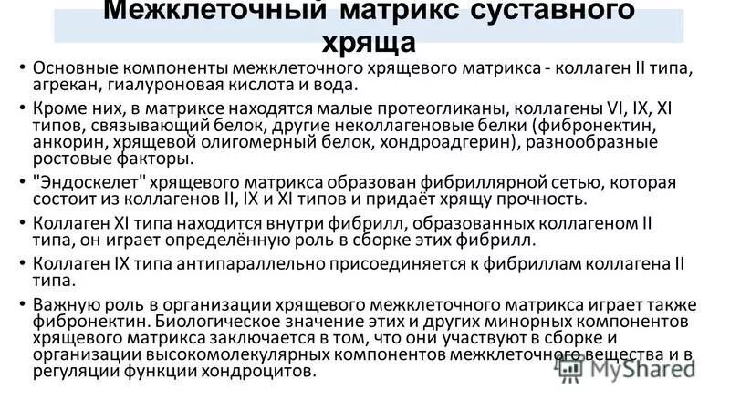 Структурная организация межклеточного матрикса биохимия. Межклеточный матрикс суставного хряща,. Компоненты внеклеточного матрикса. Адгезивные белки межклеточного матрикса: фибронектин и ламинин. Внеклеточные белки межклеточного матрикса.
