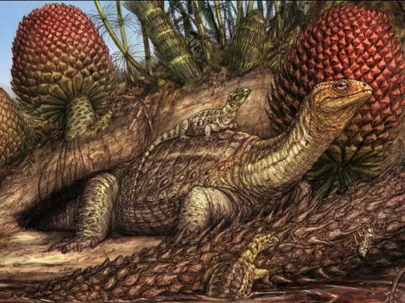 Предки современных рептилий. Pappochelys rosinae. Черепахи Триасового периода. Динозавры Триасового периода. Рептилии Триасового периода.