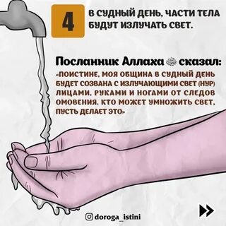 Омовение половых органов