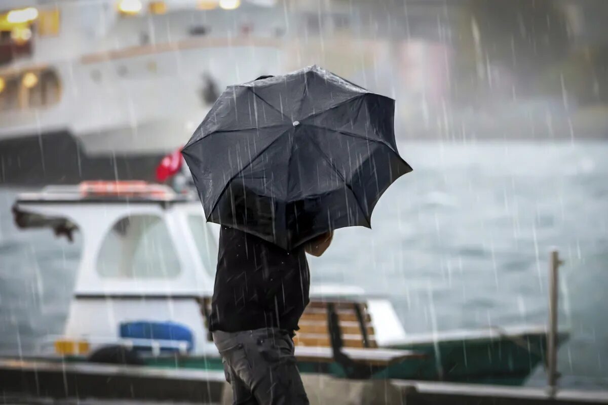 Сильный дождь. Сдувает ветром. Сильный ветер и дождь. Сильный дождь. Порывы ветра.