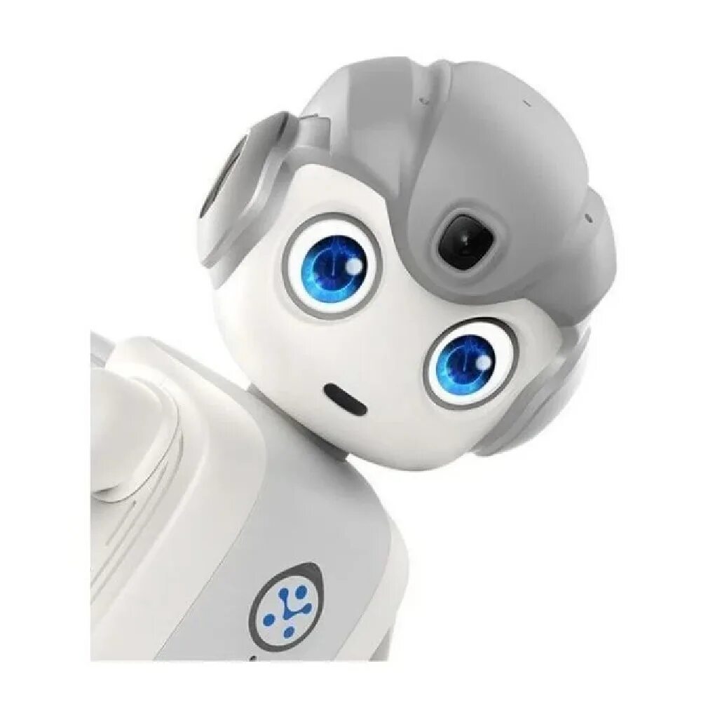 Alpha robot. Ubtech alpha mini.
