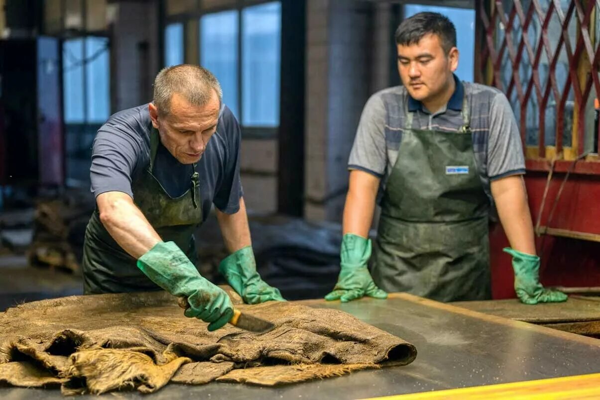 Переработка кожи. Рязанский кожевенный завод (русская кожа). Завод Рязань Кожзавод. Кожевенный завод Спасск Рязанский.